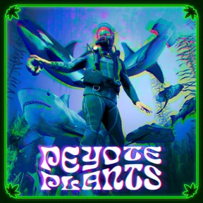 Peyote Plants